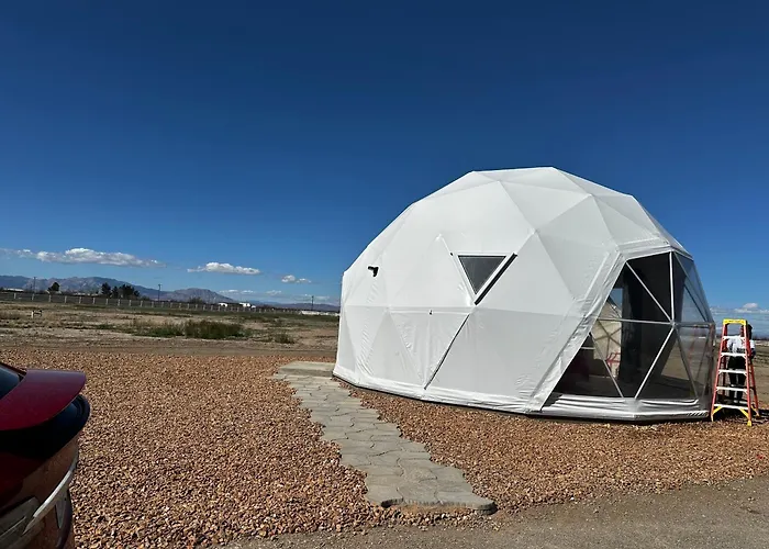 Barbie Dome Willcox