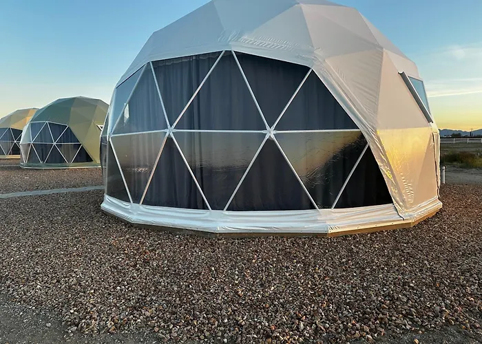 Barbie Dome Willcox
